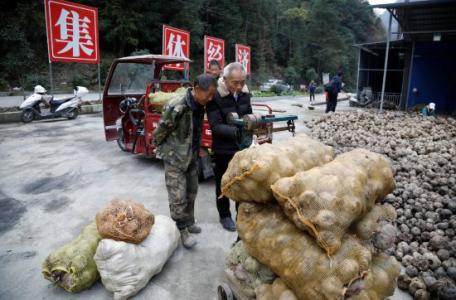岚皋的魔芋平利的茶&nbsp;感受安康品牌魅力
