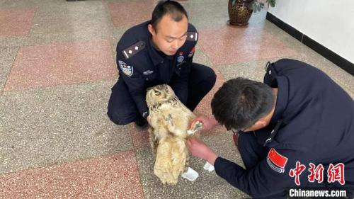 西藏民警爱心接力，受伤“夜猫子”终获救